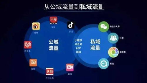 圍墻漸拆，新局將啟 互聯互通背后的互聯網權力重塑